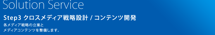 Step3 クロスメディア戦略設計/コンテンツ開発：各メディア戦略の立案とメディアコンテンツを整備します。